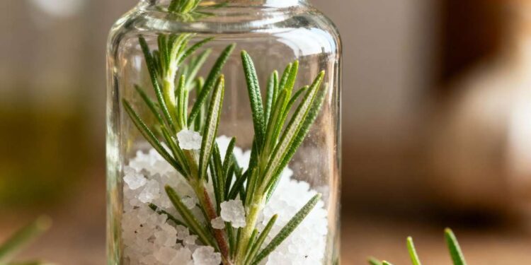 Alecrim e sal grosso: o segredo para um lar purificado e agradável