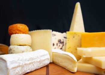 Queijos deliciosos para intolerantes à lactose: descubra 11 opções saborosas