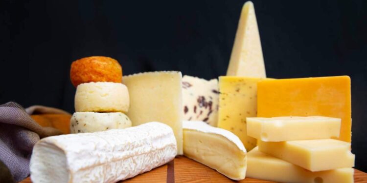 Queijos deliciosos para intolerantes à lactose: descubra 11 opções saborosas