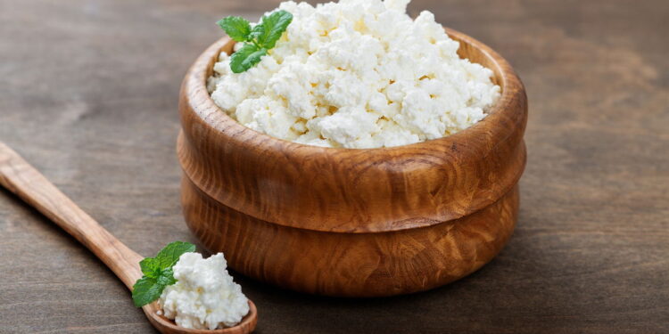 Queijo cottage: sabor suave, leve e cheio de benefícios