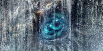 Teaser de ‘Monarch: Legado de Monstros’ Apresenta Novo Titã