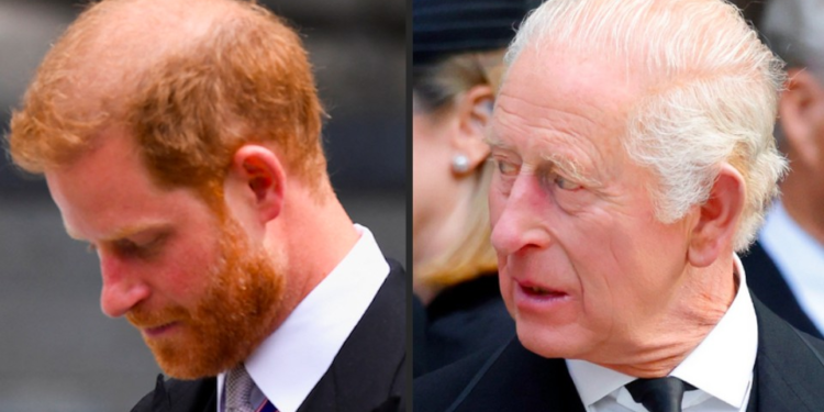 Rei Charles III Evita Encontro com Príncipe Harry por Temor de Vazamentos