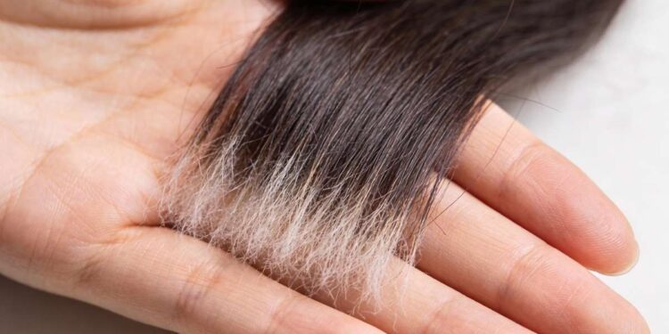 Descubra Com o Teste do Copo D’Água se Seu Cabelo Precisa de Nutrição ou Reconstrução