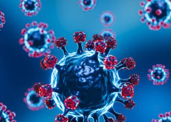 OMS Avalia Risco do Vírus Nipah e Destaca Sintomas e Prevenção