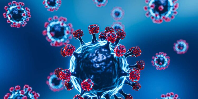 OMS Avalia Risco do Vírus Nipah e Destaca Sintomas e Prevenção