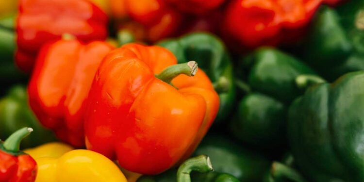 Diferenças Entre Pimentão Verde, Amarelo e Vermelho: Sabor e Nutrientes
