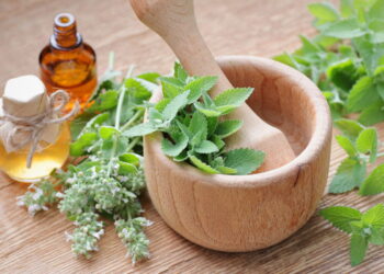 Remédios Caseiros para Infecção Urinária: Opções Naturais e Como Preparar