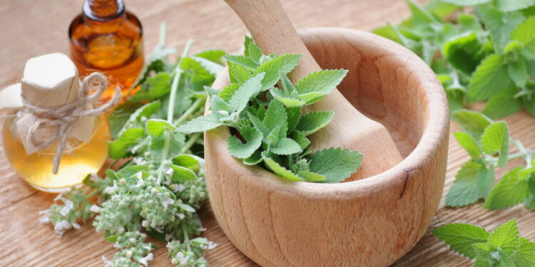 Remédios Caseiros para Infecção Urinária: Opções Naturais e Como Preparar