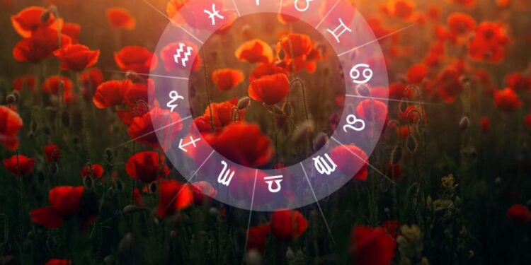 Horóscopo de 31/01/2026: Confira as Previsões para os 12 Signos