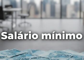 Salário Mínimo de Minas Gerais em 2026: Entenda a Situação