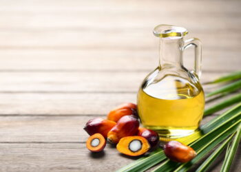 Azeite de Dendê: Benefícios e Riscos do Consumo