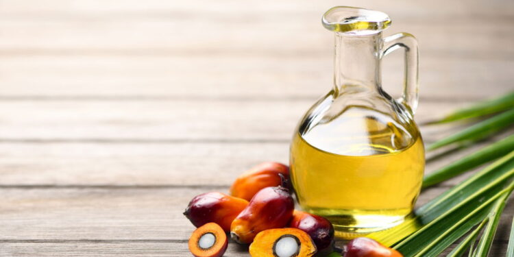 Azeite de Dendê: Benefícios e Riscos do Consumo