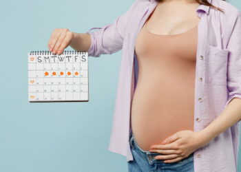 Como Calcular o Dia da Concepção: Entenda os Métodos