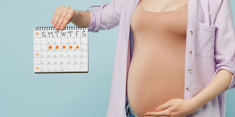 Como Calcular o Dia da Concepção: Entenda os Métodos