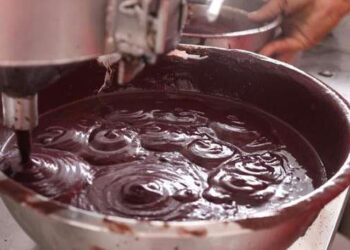 Estudo da UFPA Revela Potencial do Açaí na Prevenção da Ansiedade e Depressão