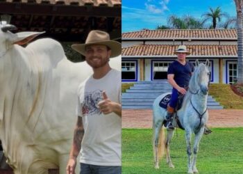 Eduardo Costa e Gustavo Tubarão Adquirem Vaca de R$ 2 Milhões em Leilão