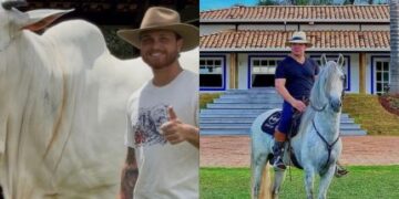 Eduardo Costa e Gustavo Tubarão Adquirem Vaca de R$ 2 Milhões em Leilão