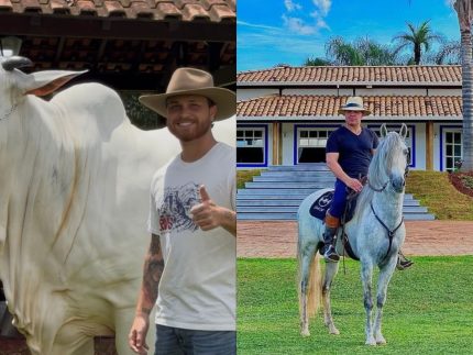 Eduardo Costa e Gustavo Tubarão Adquirem Vaca de R$ 2 Milhões em Leilão