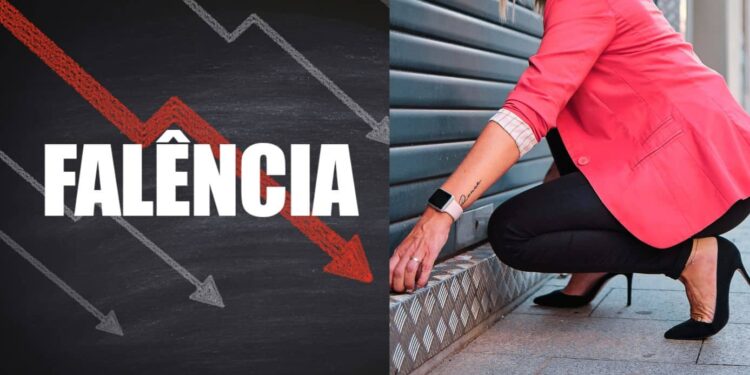 D.B. Brinquedos Declara Falência Após Dívida de R$36 Milhões no Brasil