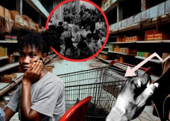 Casas da Banha: A Queda de Uma Rede de Supermercados Após 41 Anos de Sucesso