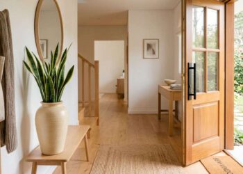 Como Posicionar a Sansevieria na Entrada de Casa para Harmonizar o Ambiente