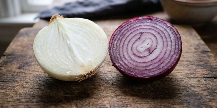 Diferenças Entre Cebola Branca e Cebola Roxa: Como Escolher a Ideal para Suas Receitas