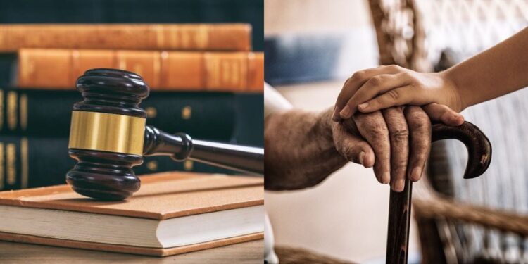 Santa Catarina Aprova Lei que Proíbe Fogos de Artifício Barulhentos para Proteger Idosos