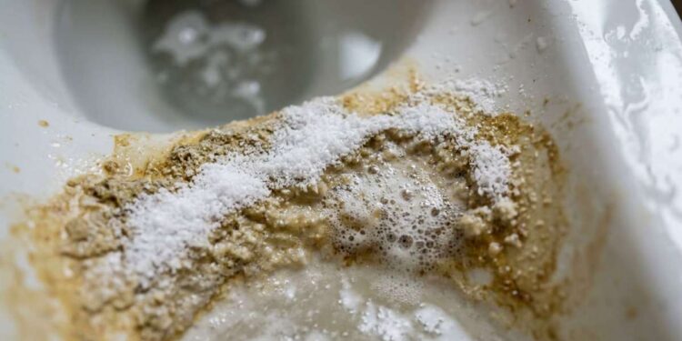 Ácido Cítrico: Solução Eficaz para Remover Calcário do Vaso Sanitário