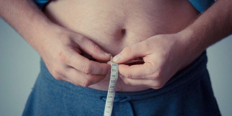Estudo Revela Impacto da Obesidade Paterna no Metabolismo dos Filhos